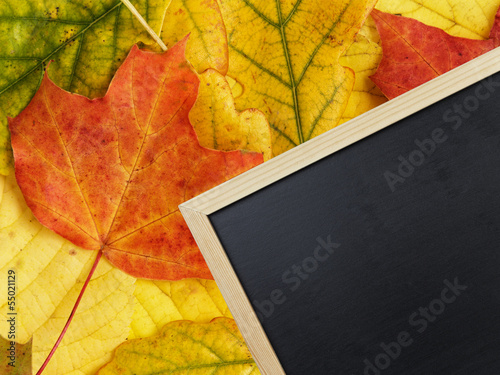 blackboard on autumn leaves photo