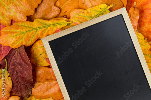 blackboard on autumn leaves photo