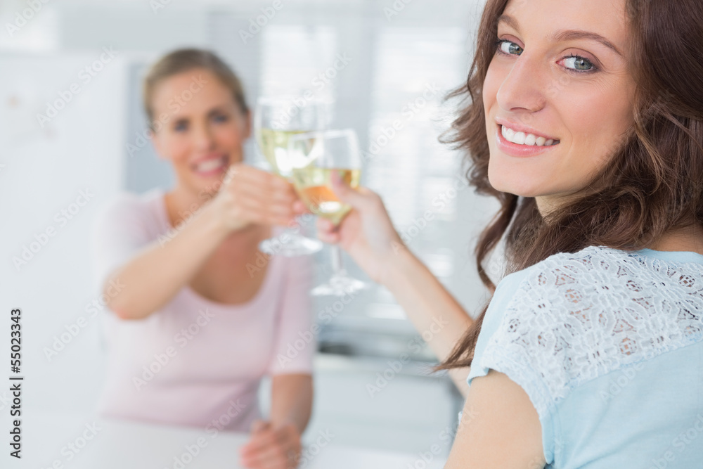 Cheerful women holding glasses of white wine Cheerful women holding glasses of white wine