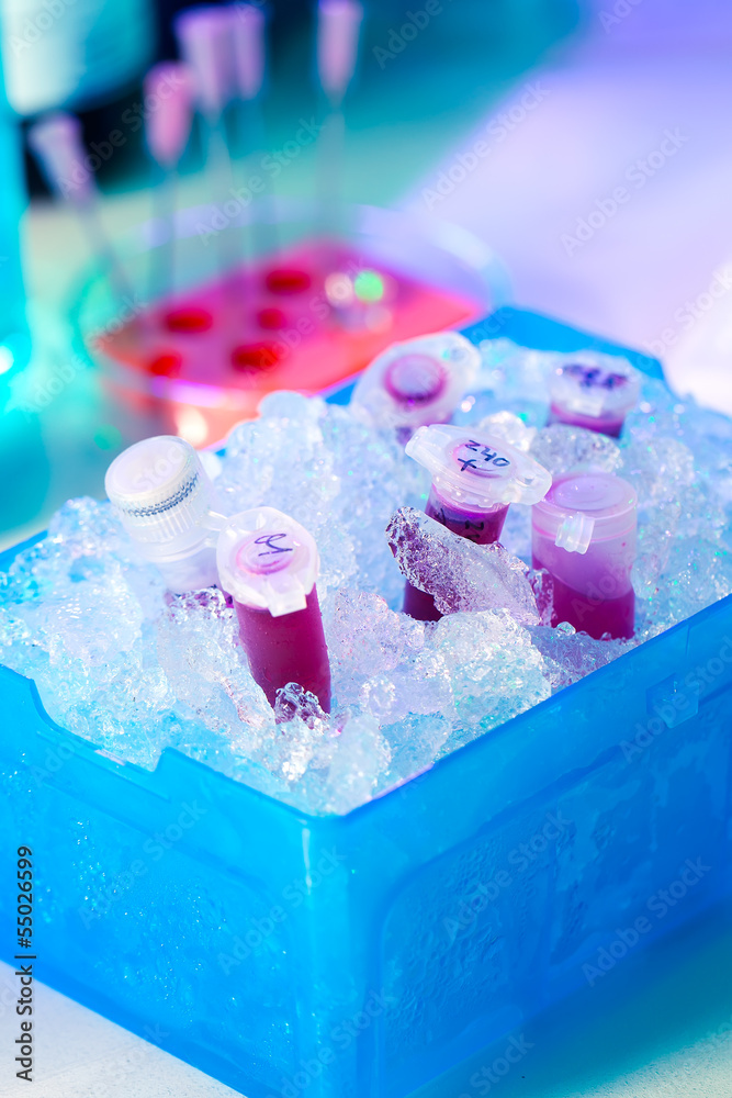 reaction plastic tube in a box full of ice reaction plastic tube in a box full of ice