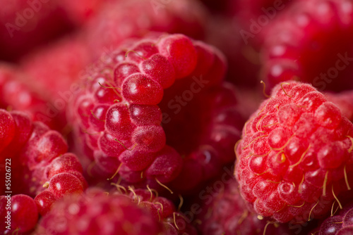 Raspberry background