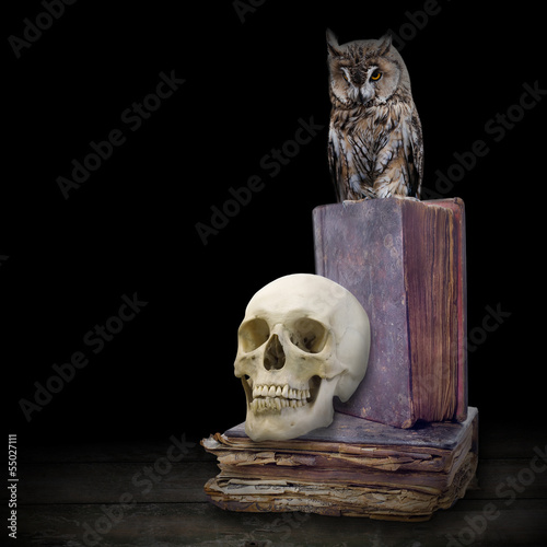 skull and owl on old books