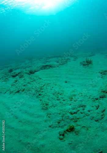 What Underwater landscape looks like.