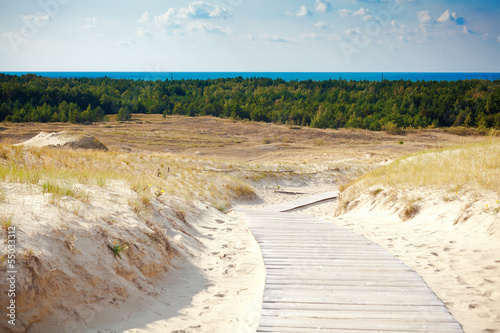 Sand Dunes Not Far From Nida