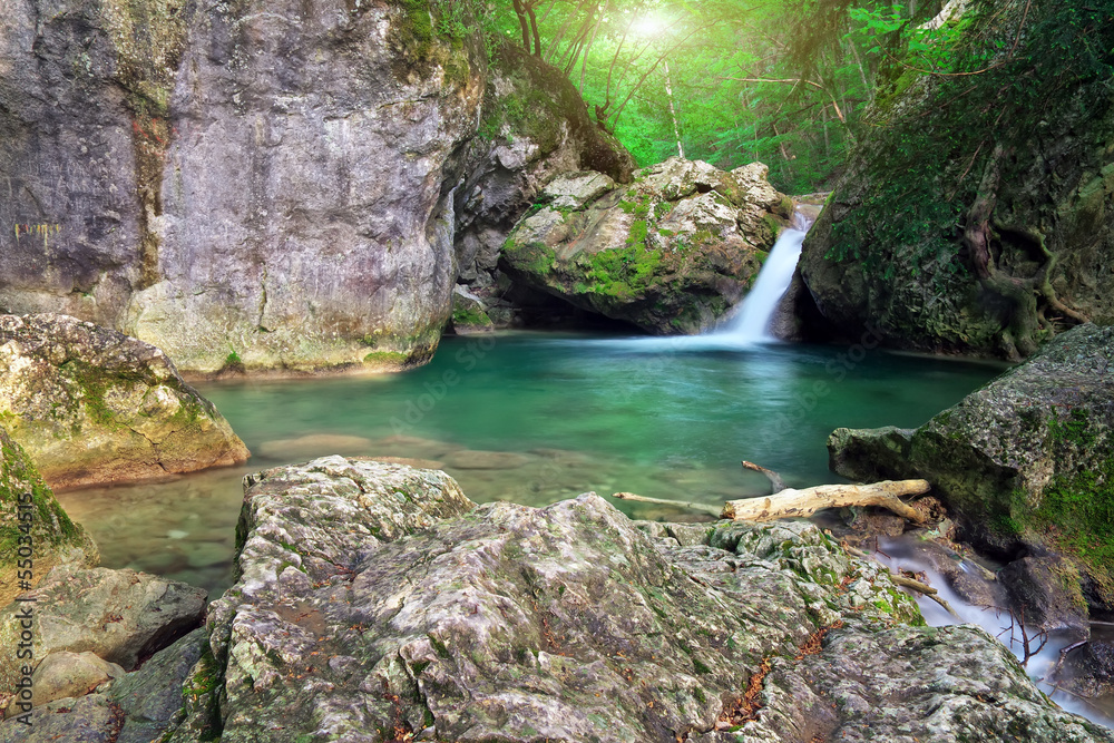 Mountain river. Spring rill flow. Spring wood and river. Mountain river. Spring rill flow. Spring wood and river.