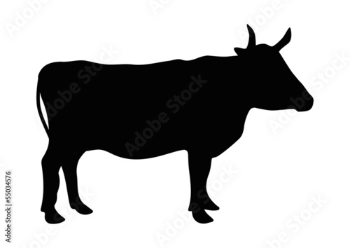 Rind Silhouette
