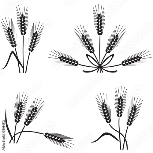 Wheat and rye