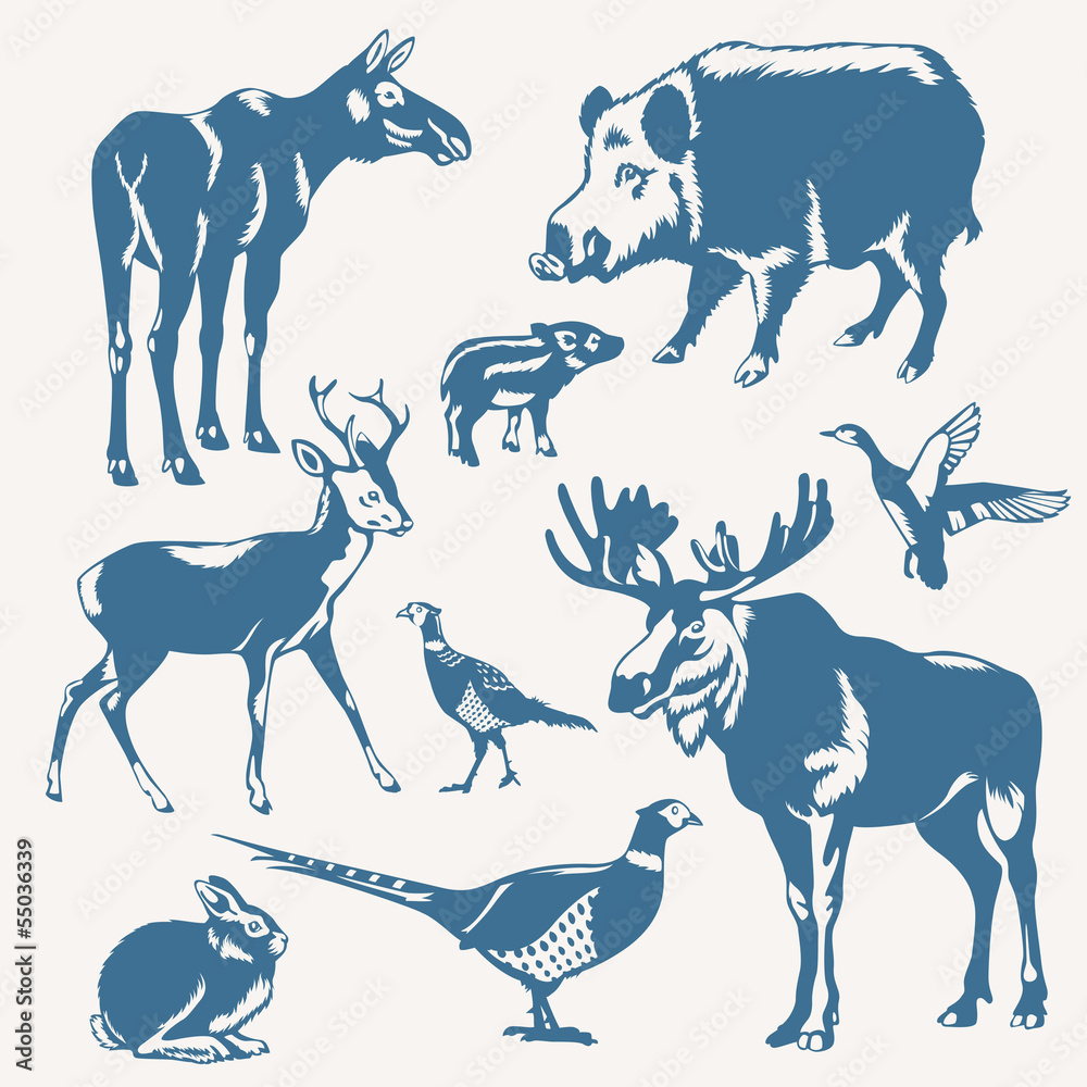 wild animals on a white background Stock Vector | Adobe Stock