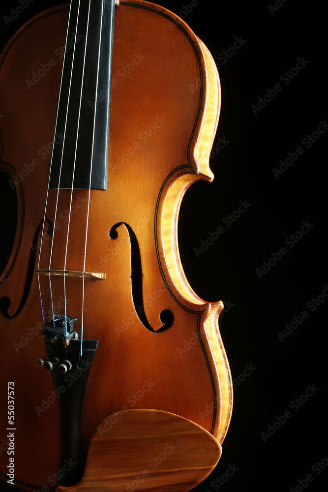 Violin orchestra musical instruments Violin orchestra musical instruments