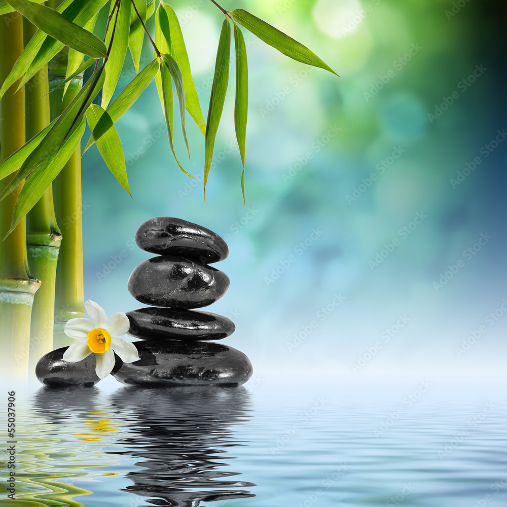 Stones and Bamboo on the water with narcissus flower - obrazy, fototapety, plakaty 