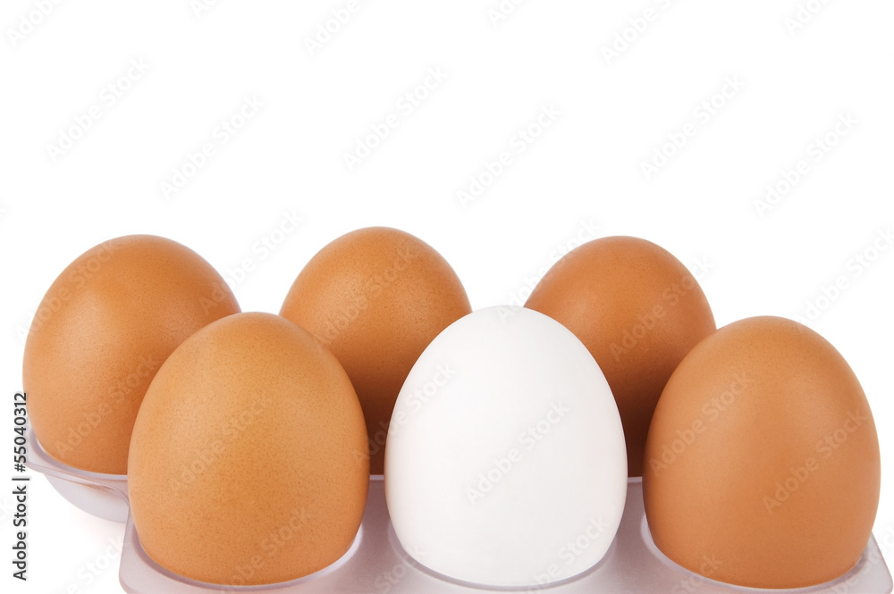 White egg among brown ones. Standing out from crowd concept White egg among brown ones. Standing out from crowd concept