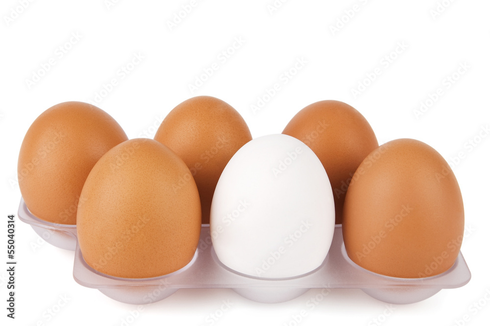 White egg among brown ones. Standing out from crowd concept White egg among brown ones. Standing out from crowd concept