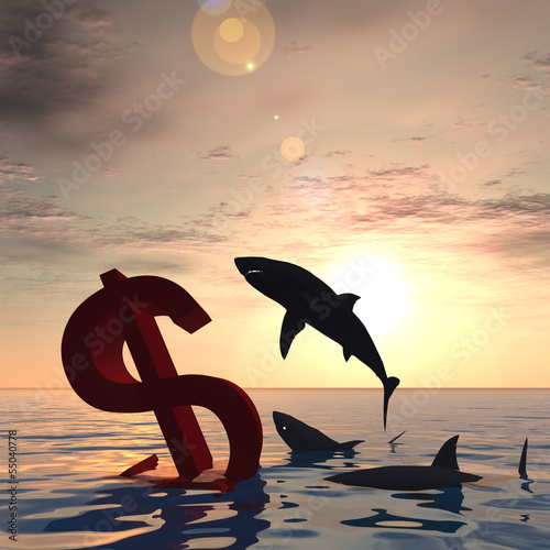Conceptual crisis dollar in water at sunset © high_resolution