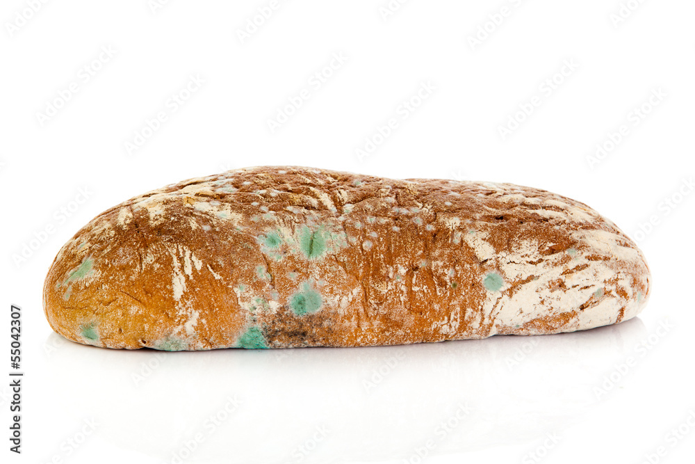 Mold on bread. Mouldy bread, isolated on a white background Mold on bread. Mouldy bread, isolated on a white background