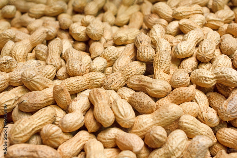 Golden peanuts in shells Golden peanuts in shells
