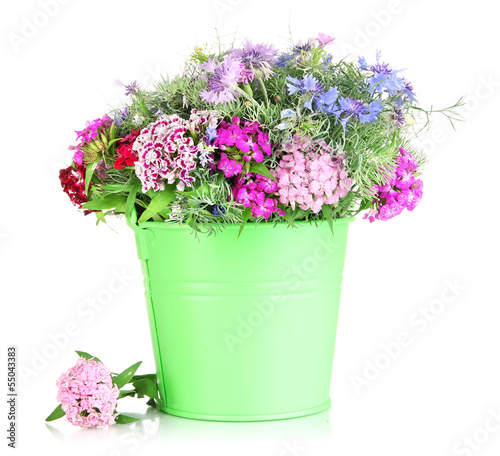 Beautiful bouquet in pail isolated on white