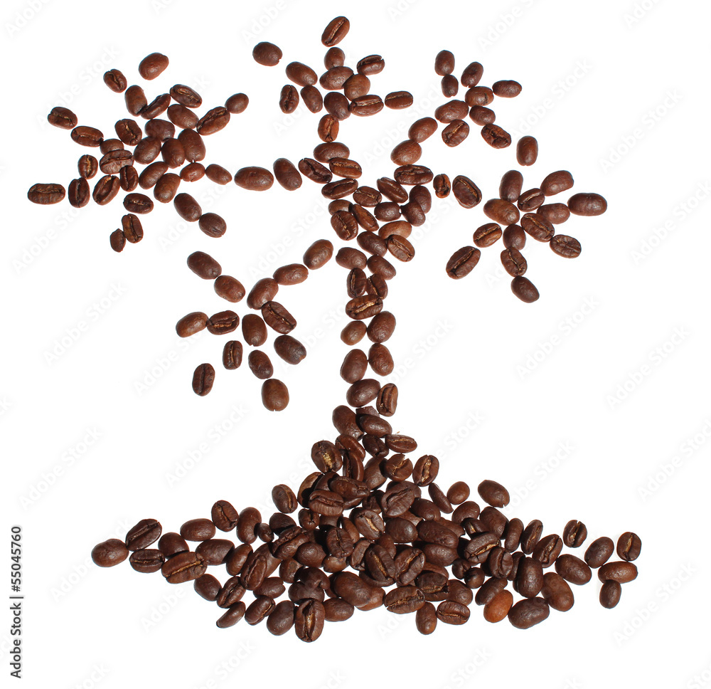Tree of coffee, isolated on white with copy space Tree of coffee, isolated on white with copy space