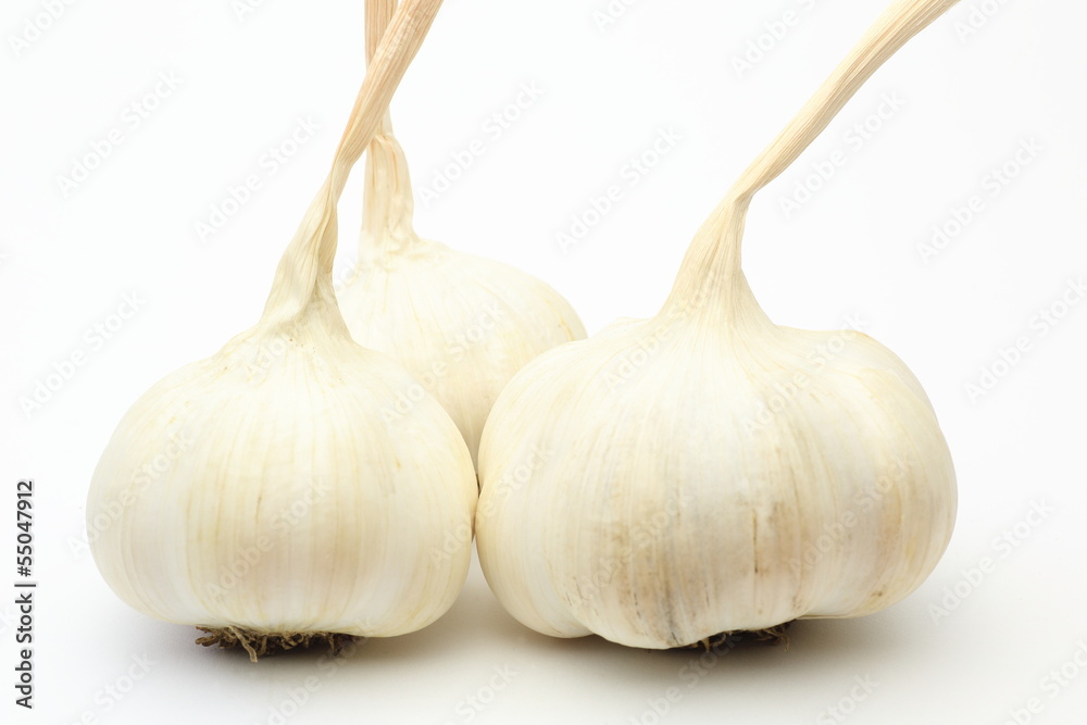 Fototapeta premium ニンニク