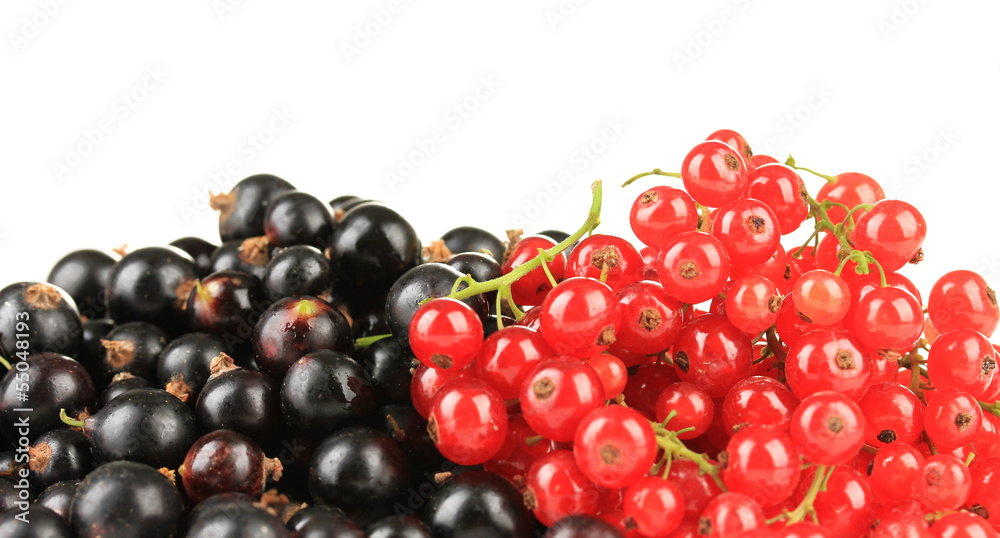 Red and black currant isolated on white Red and black currant isolated on white
