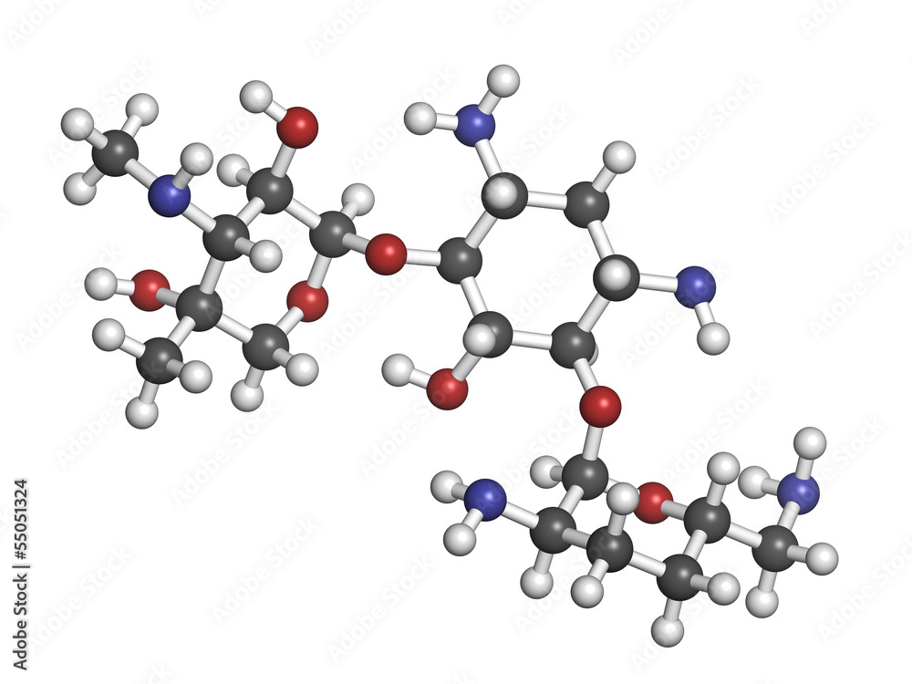 Gentamicin antibiotic drug (aminoglycoside class)