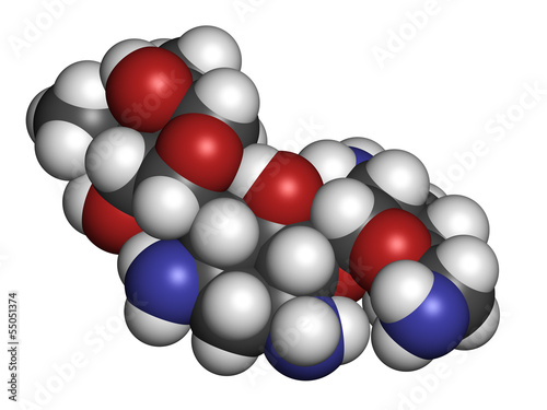 Gentamicin antibiotic drug (aminoglycoside class) photo