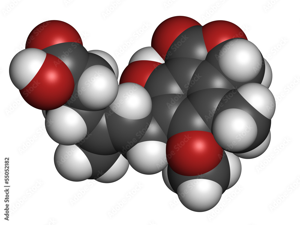 Mycophenolate (mycophenolic acid) immunosuppressive drug Mycophenolate (mycophenolic acid) immunosuppressive drug