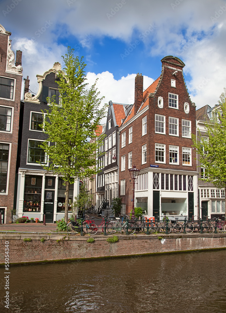 Obraz premium Dutch houses