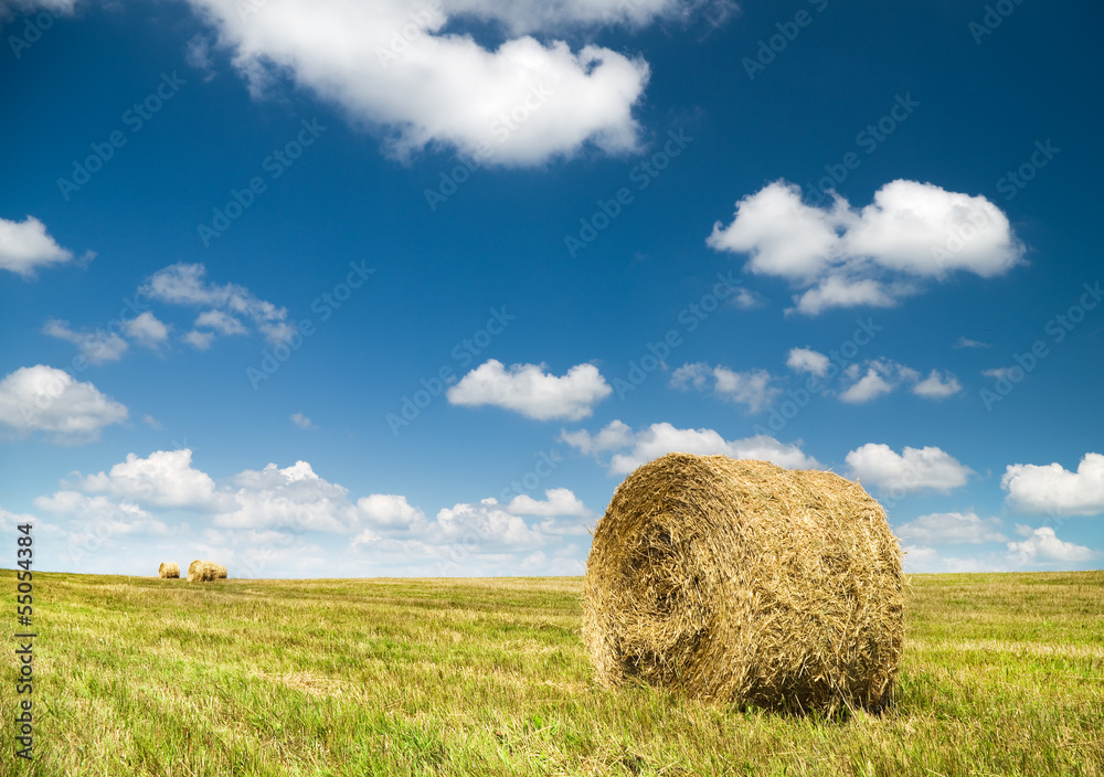 Bales of hay in a large field. Bales of hay in a large field.