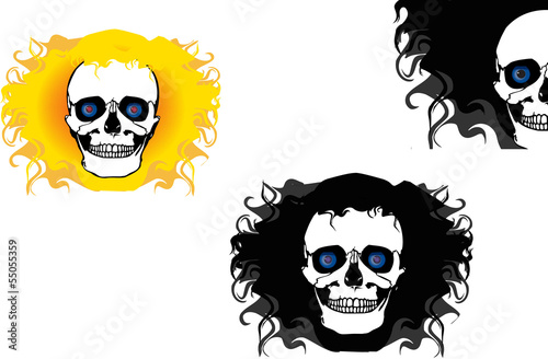 logo teschio
