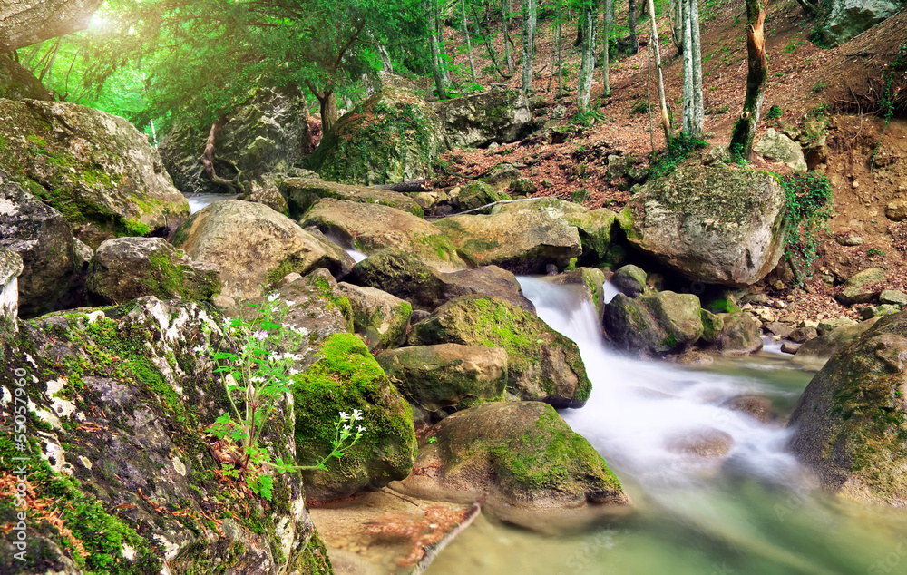 Mountain river in spring. A stream of water in forest and mounta Mountain river in spring. A stream of water in forest and mounta