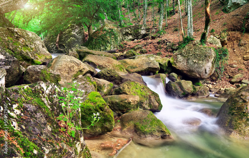 Mountain river in spring. A stream of water in forest and mounta