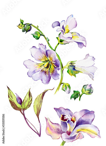 Watercolor mallow flowers and orchid