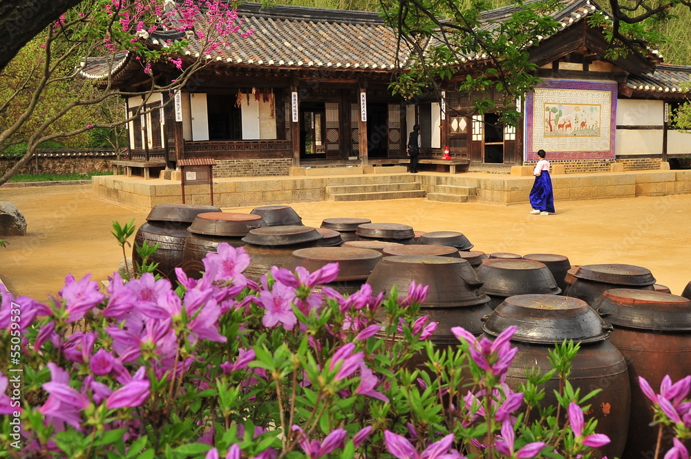 Obraz premium Korean traditional village house