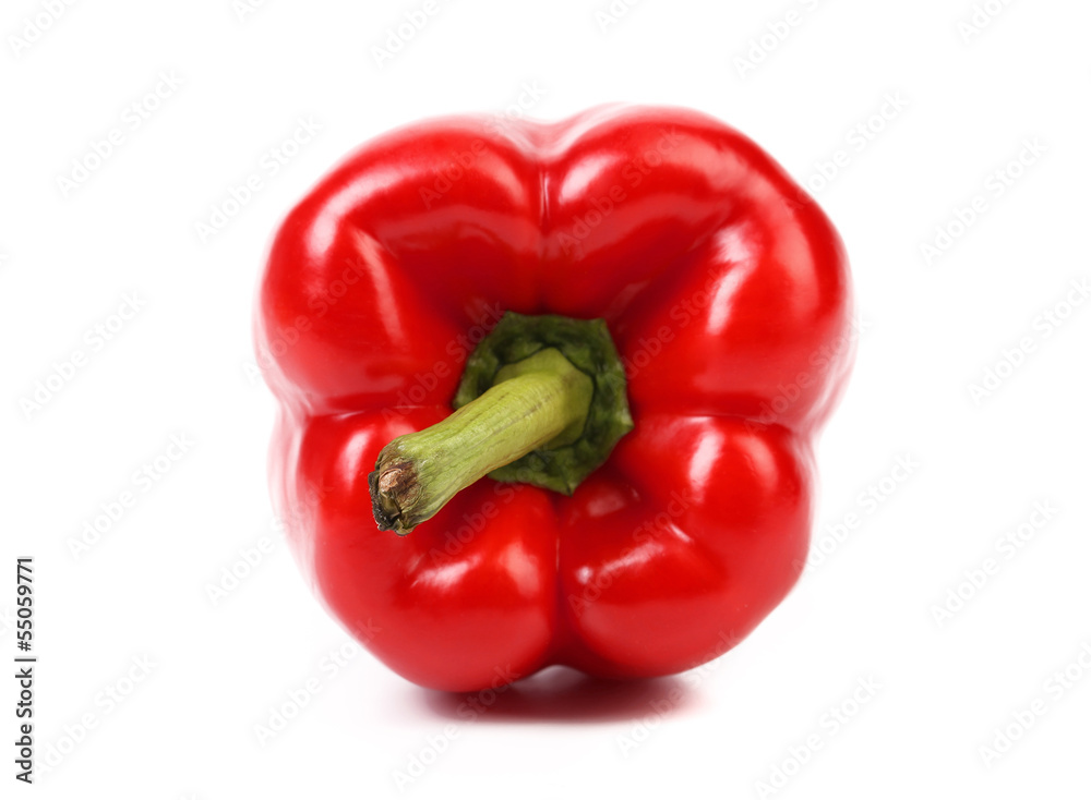 Tail pepper. Tail pepper.