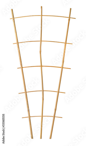 Принти на полотні Bamboo trellis plant support isolated on white