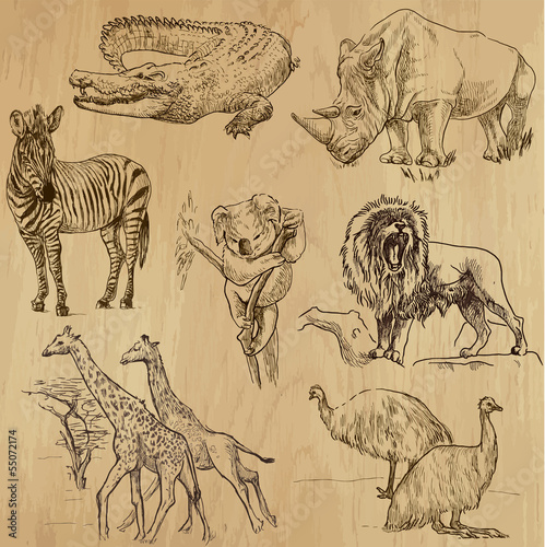 Animals around the World (part 2). Collection of hand drawings. photo