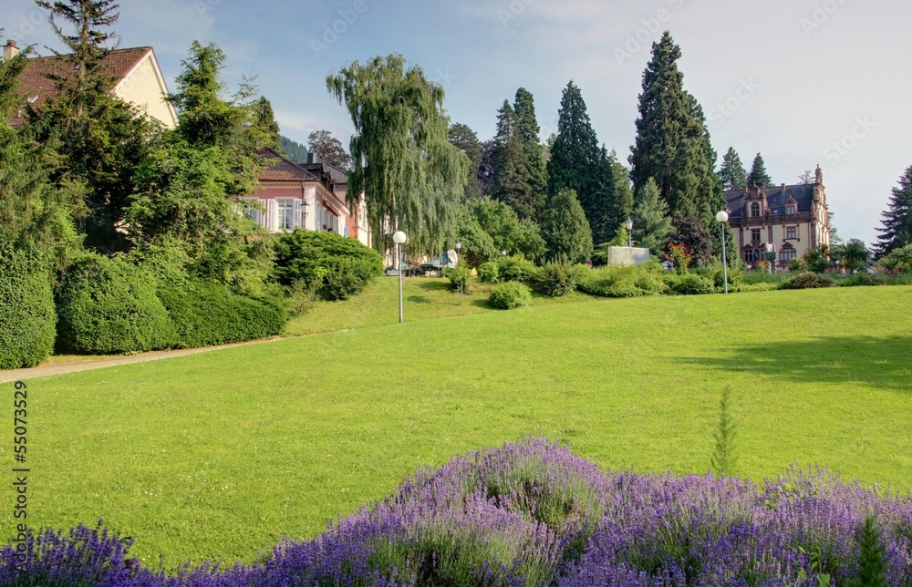 jardin jardin