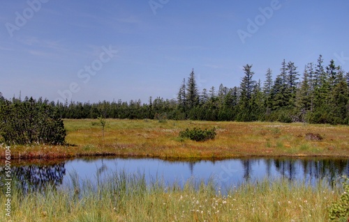 Paysage de la foret noire 