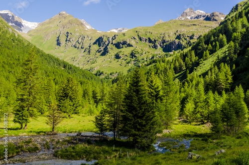 Summer Alpine landscape. Northern Italy