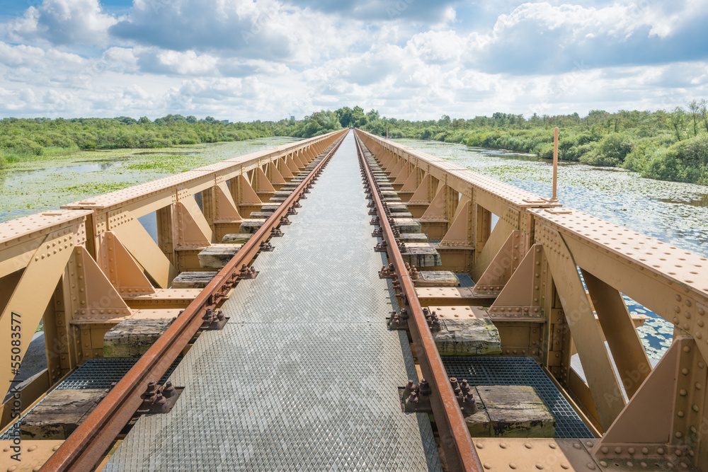 Obraz premium Riveted historic railway bridge