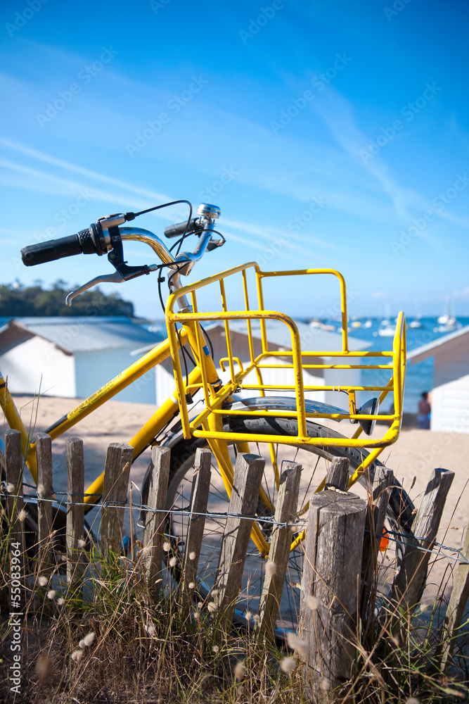 France > Vendée > Noirmoutier > Vélo