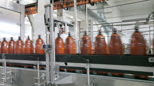 The food industry. Plastic beer bottles moving on conveyor