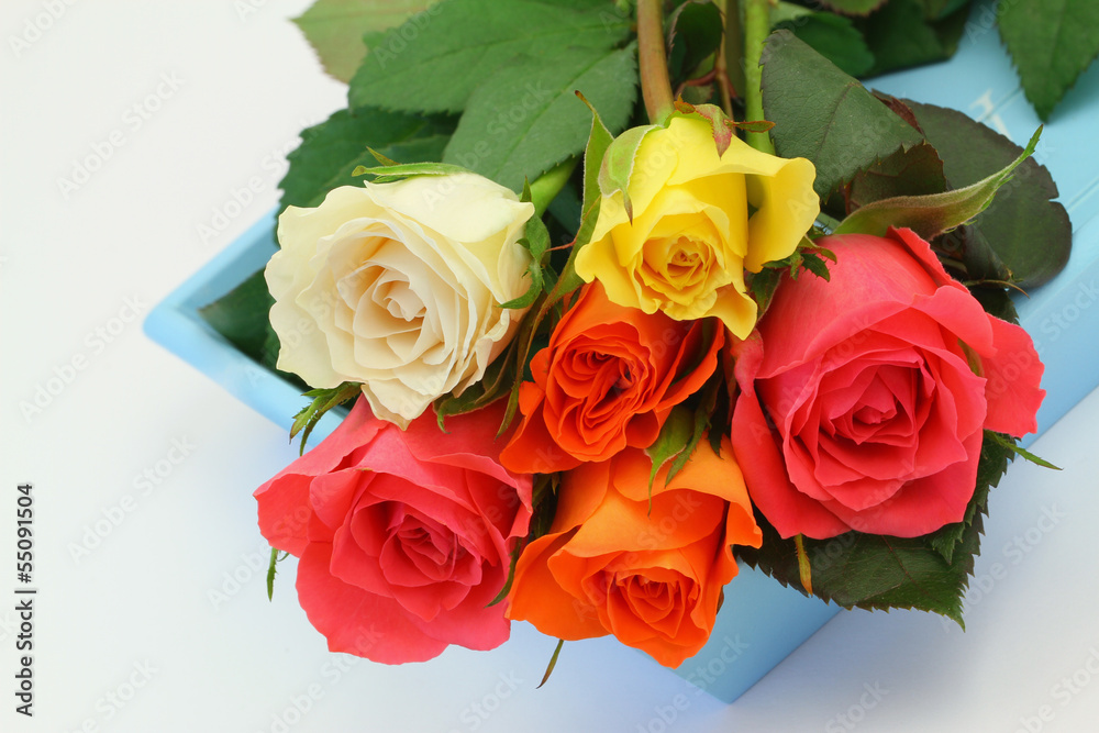 Fototapeta premium Colorful roses on blue tray, close up