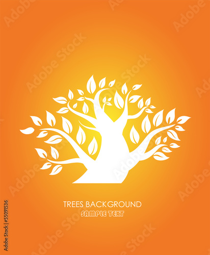 Silhouette of a tree with leaves on orange  backgroundtrees photo