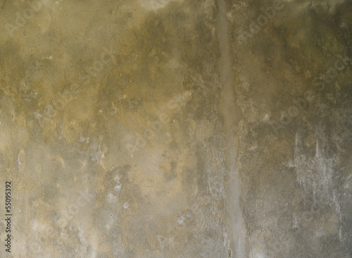 Concrete wall of the panel cement