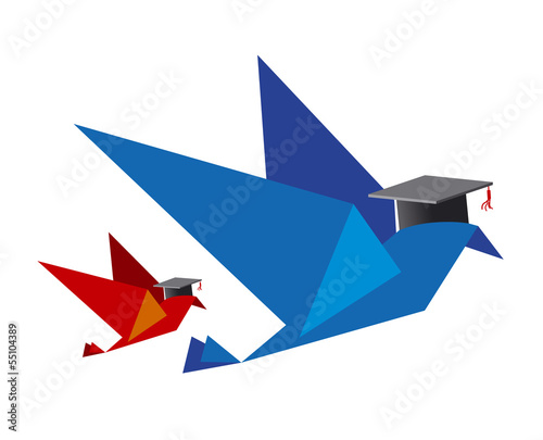 Bird concept for education