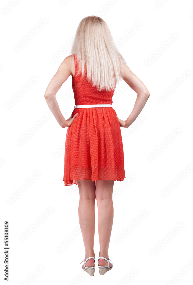 back view of standing young beautiful  woman.