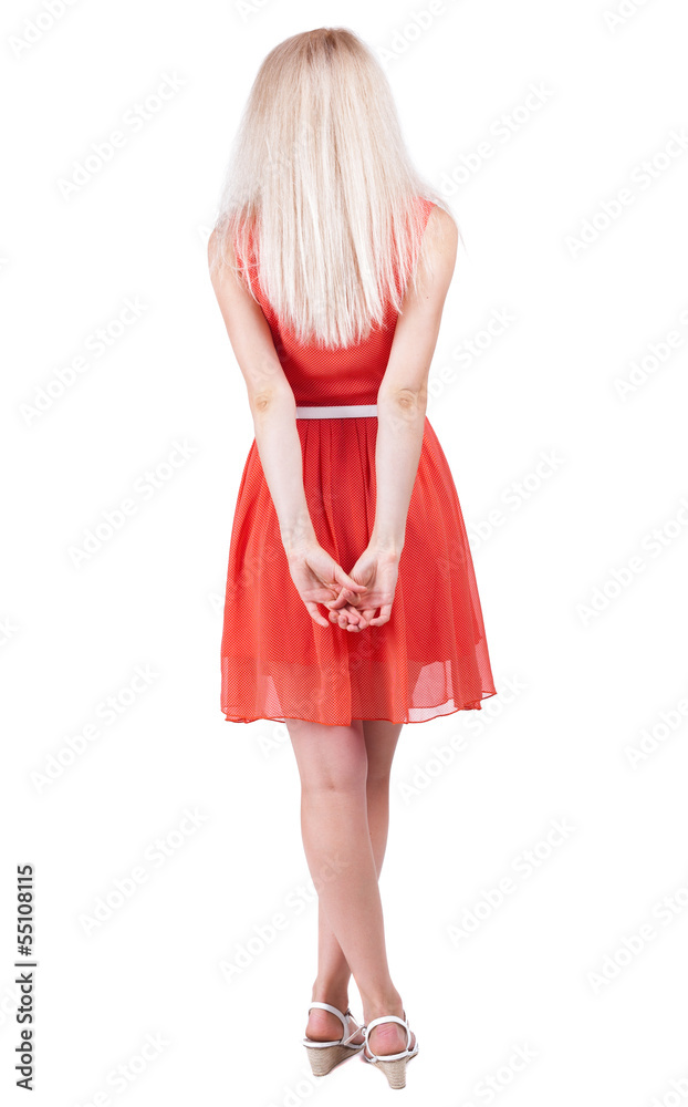 back view of standing young beautiful woman. back view of standing young beautiful woman.