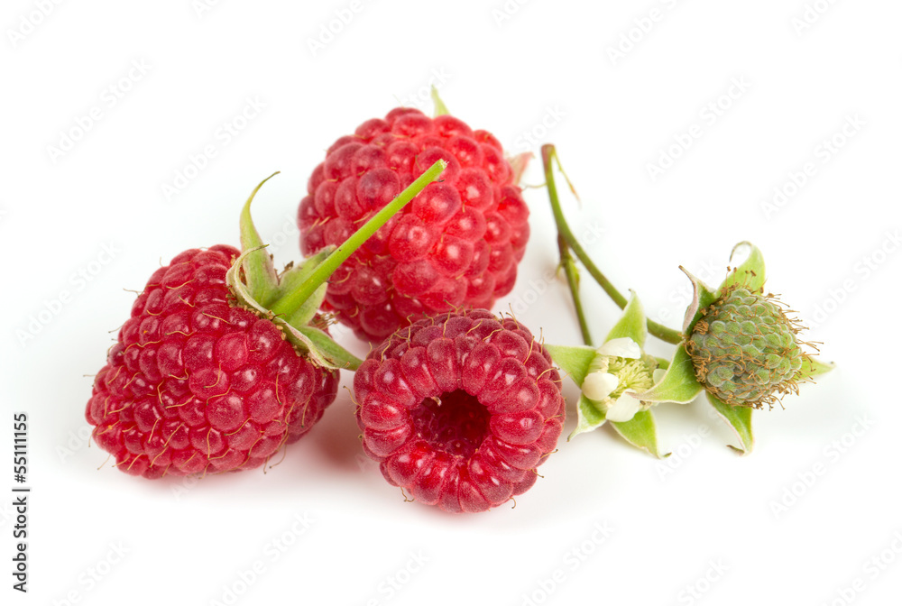 fresh raspberries fresh raspberries
