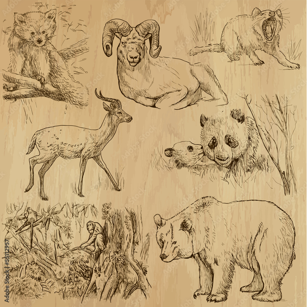 Fototapeta premium Animals around the World (part 4). Collection of hand drawings.